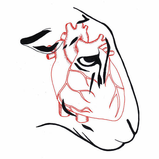 I'm Not Here to Make Friends Roar