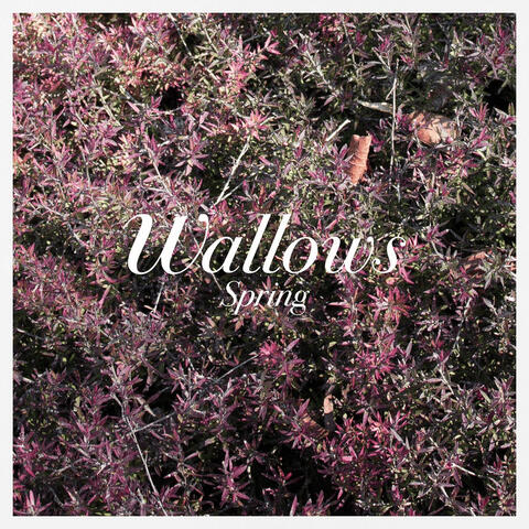 Spring EP Wallows