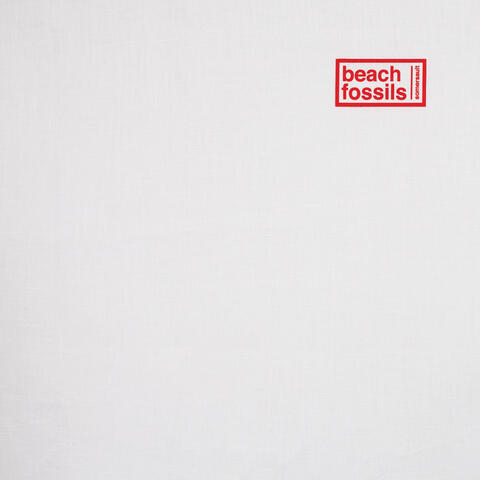 Somersalt Beach Fossils