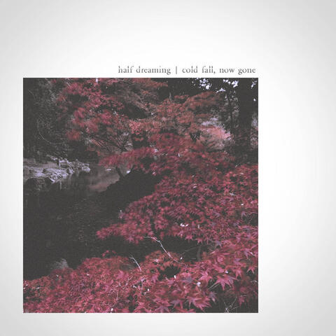Cold Fall, Now Gone Half Dreaming