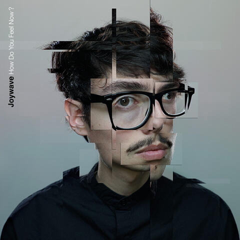 How Do You Feel Now? Joywave