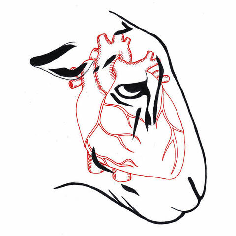 I'm Not Here to Make Friends Roar